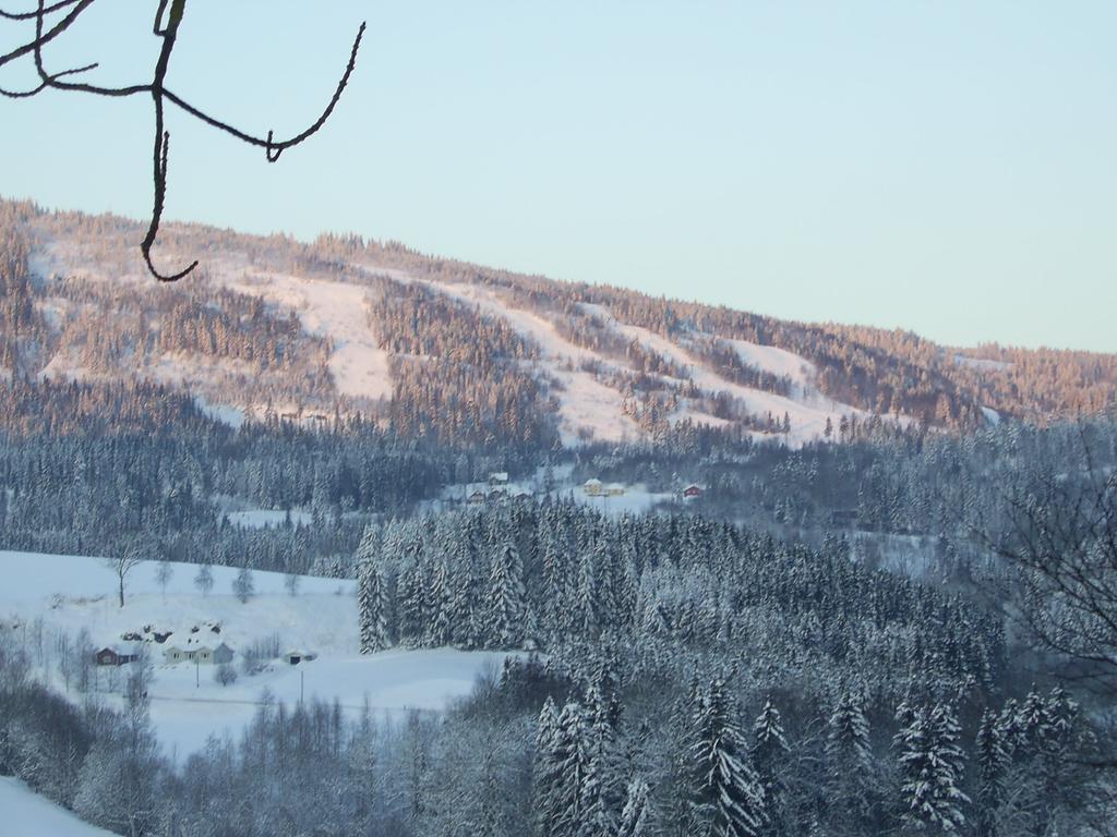 Sogn Gjestegard Svarstad  Pokoj fotografie