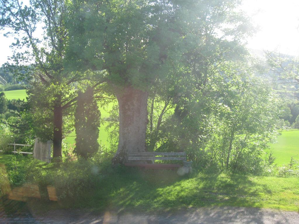 Sogn Gjestegard Svarstad  Pokoj fotografie